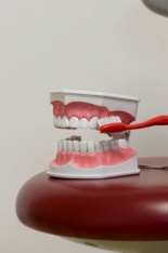 Imagine Igiena dentara copii
