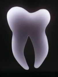 Imagine CMI Dr. Nicoleta Grosu