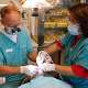 fluorizare dentara bucuresti