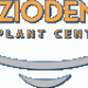 Fiziodent Implant Center,BUCURESTI Fiziodent Implant Center