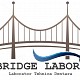 Sc Bridge Labor Srl