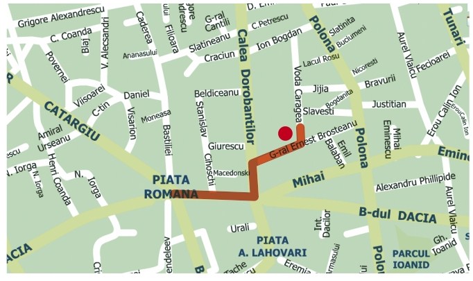 Dr. Monica Predoiu poza 1