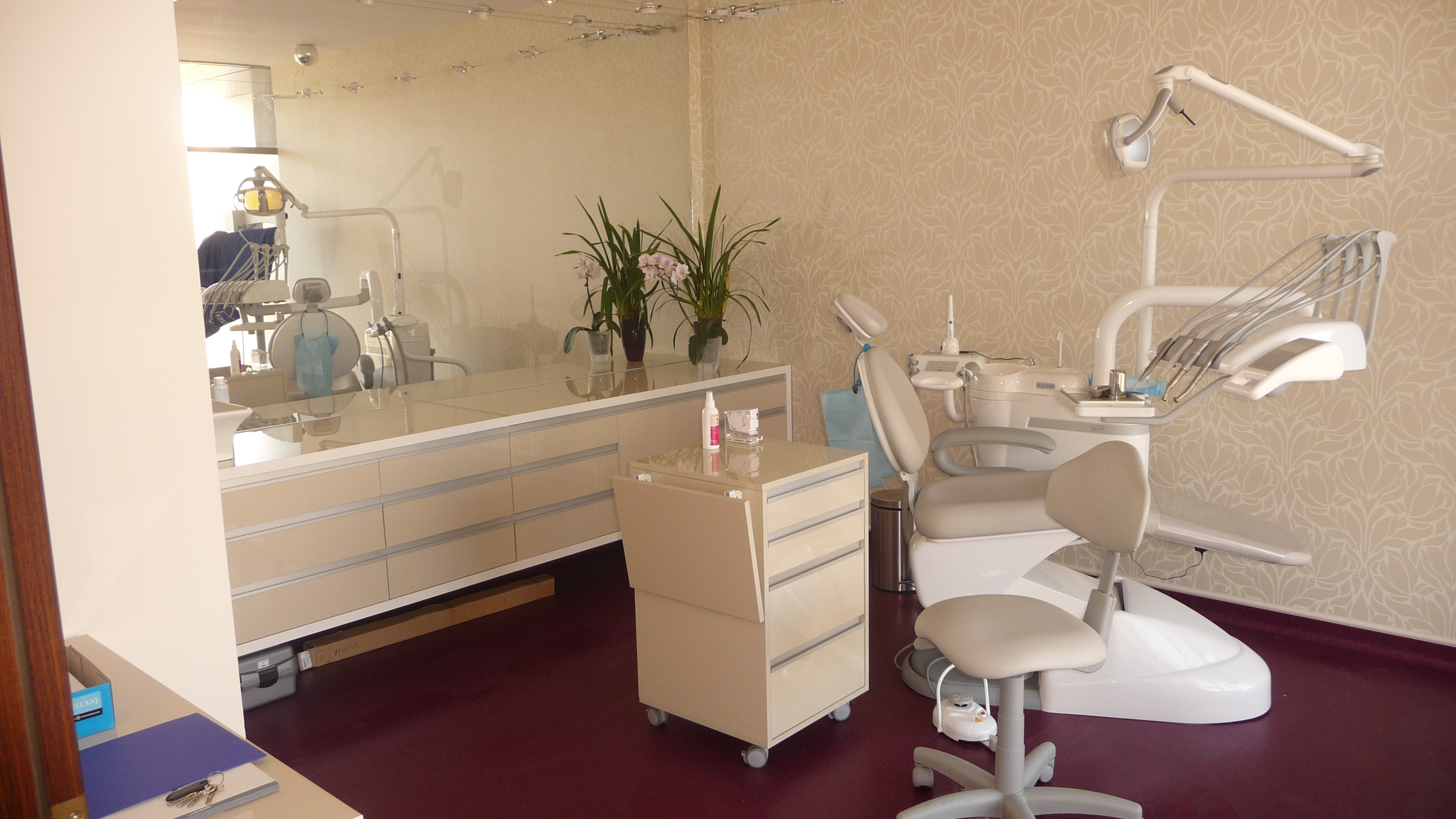 medicina dentara Dr.Talida Holhos, Stomatologic