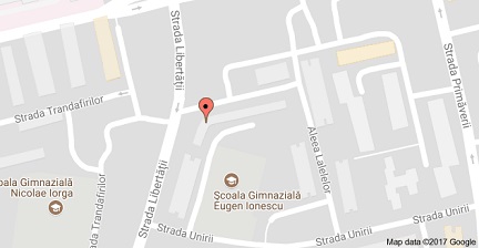 DENTAL IMPLANT PROTETIC s.r.l. poza 4