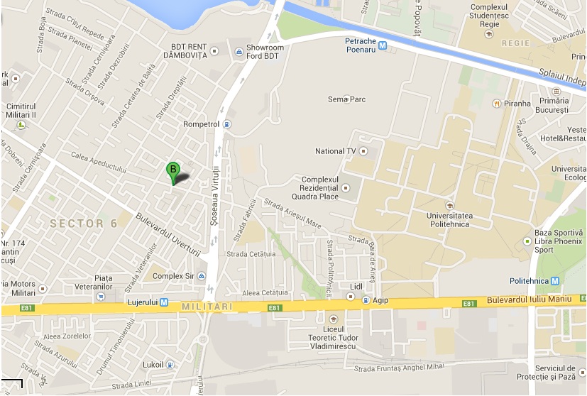 Dr. Andreea Stan poza 1