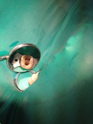 Sala Diagnostics poza 0