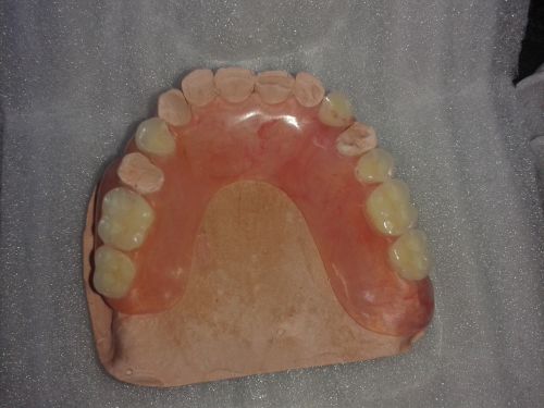 PRO DENT GLOBAL poza 5