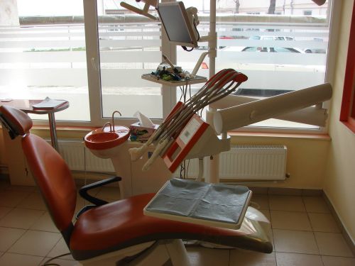 Bunny Dent Iasi poza 2