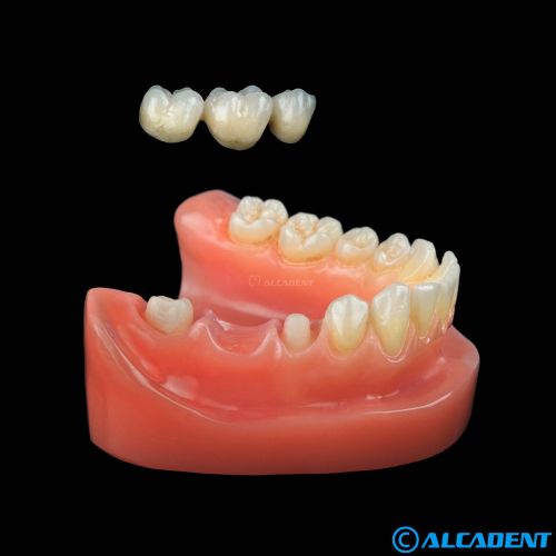 Alcadent Dental Health poza 14