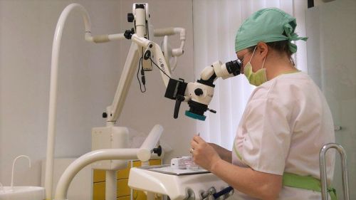 Dr. Flavia Birsete Medic Dentist poza 