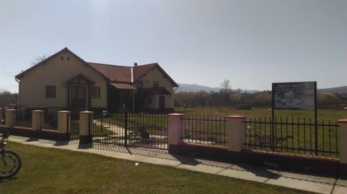 Draga Dent Agrisu Mare poza 