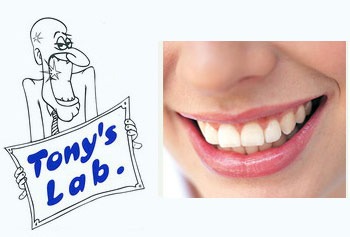 Tony's Lab poza 0
