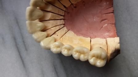 S.C. VEGINTERDENT S.R.L. poza 8