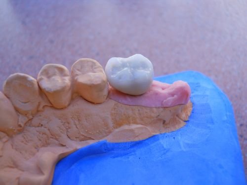 S.C. VEGINTERDENT S.R.L. poza 2