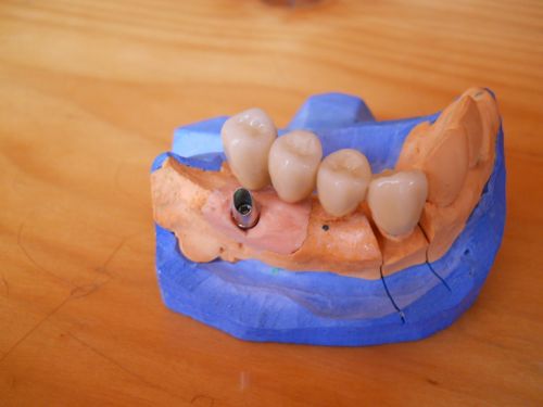 S.C. VEGINTERDENT S.R.L. poza 3