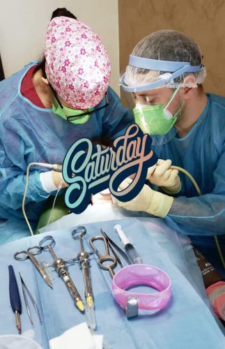 DENTAL PRIVILEGE poza 1