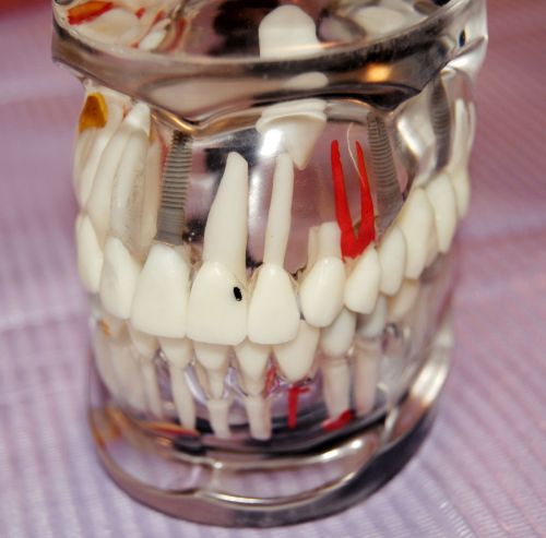 DENTAL PRIVILEGE poza 5