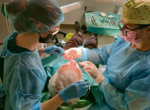 DENTAL PRIVILEGE poza 2