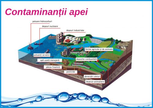 Iq Water poza 2