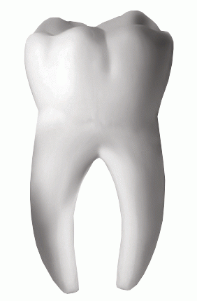 Dr.Best Laborator Dentar poza 0