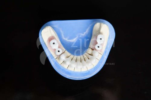 Zircon Dent SRL poza 1