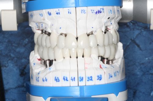 I.I Nicoleta Pasca poza 1