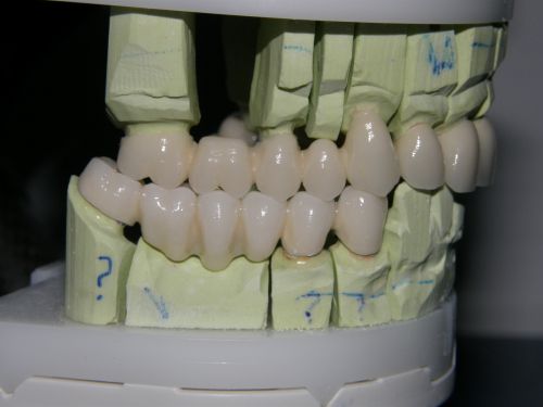 I.I Nicoleta Pasca poza 3