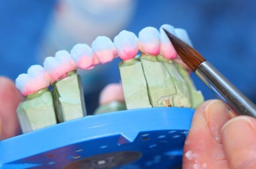 I.I Nicoleta Pasca poza 2