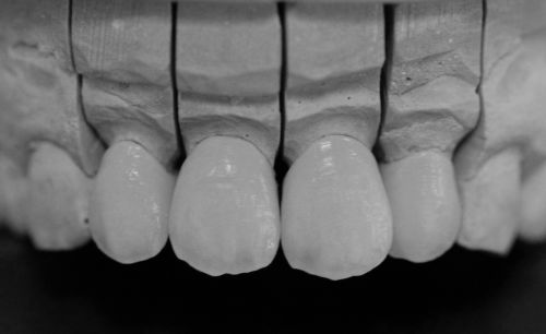 I.I Nicoleta Pasca poza 4