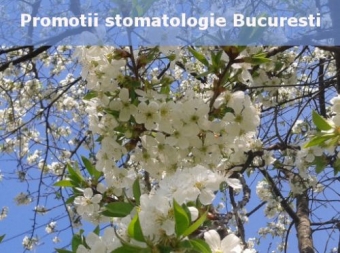 Imagine Reducerii stomatologie detartraj,albire dentara,proteza