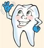 Recoltarea celulelor stem din pulpa dentara 